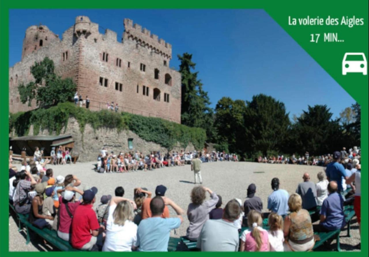 La Parenthese Alsacienne Au Coeur De Selestat Διαμέρισμα Εξωτερικό φωτογραφία